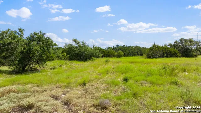 LOT 1 Legacy Hills Johnson City, TX 78636