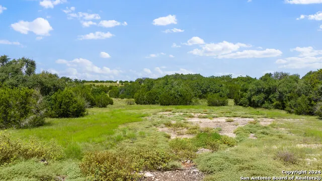 LOT 1 Legacy Hills Johnson City, TX 78636