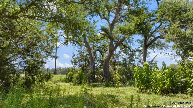 LOT 1 Legacy Hills Johnson City, TX 78636