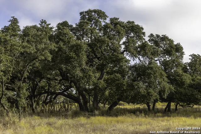 LOT 1 Legacy Hills Johnson City, TX 78636