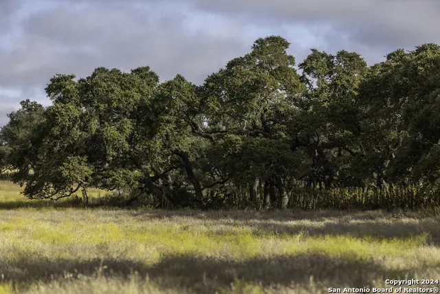 LOT 1 Legacy Hills Johnson City, TX 78636