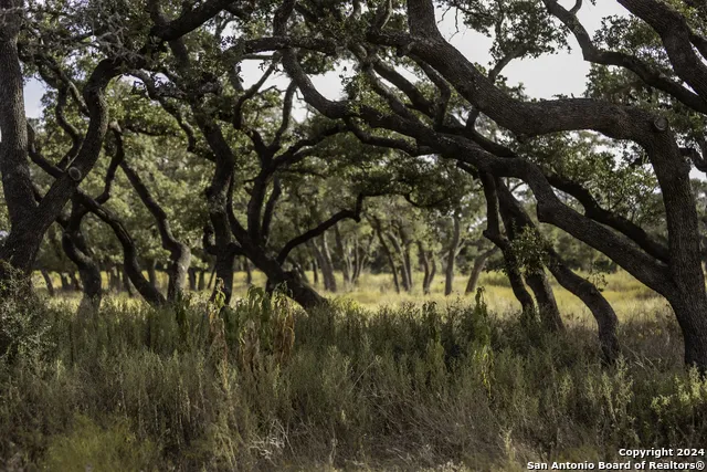 LOT 1 Legacy Hills Johnson City, TX 78636