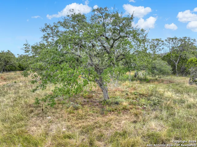 1416 powder ridge New Braunfels, TX 78132