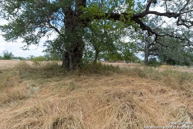 5425 Lone Oak Adkins, TX 78101
