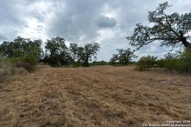 5425 Lone Oak Adkins, TX 78101