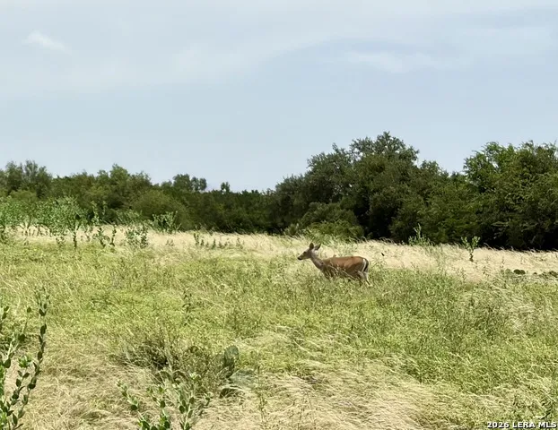 11 Stone Crst Bandera, TX 78003