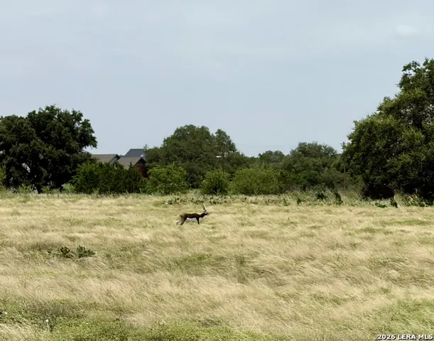 11 Stone Crst Bandera, TX 78003