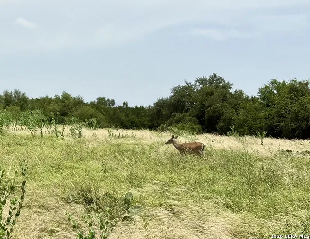 12 Stone Crst Bandera, TX 78003
