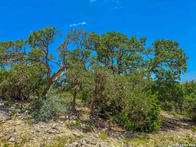 0 W SD 42000 Rocksprings, TX 78880