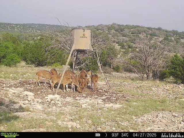 0 W SD 42000 Rocksprings, TX 78880