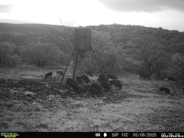 0 W SD 42000 Rocksprings, TX 78880