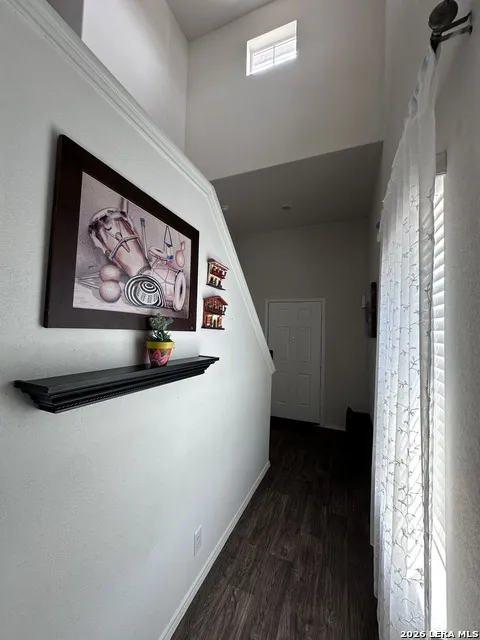 3523 SALADO BRK San Antonio, TX 78222