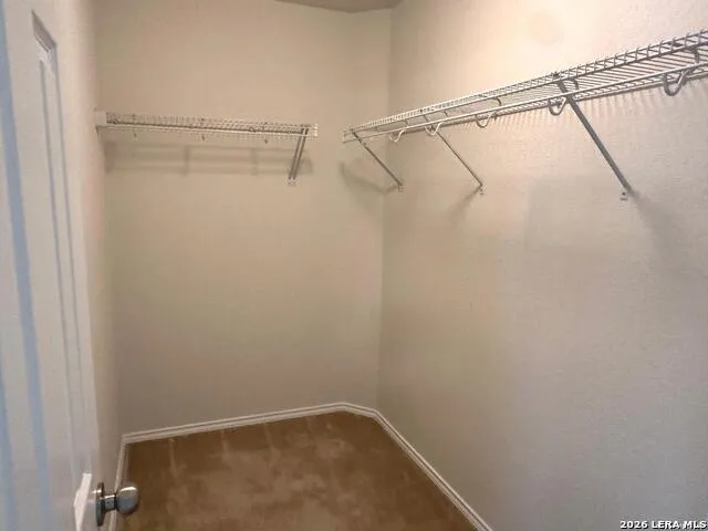 24251 Invitation Oak San Antonio, TX 78261