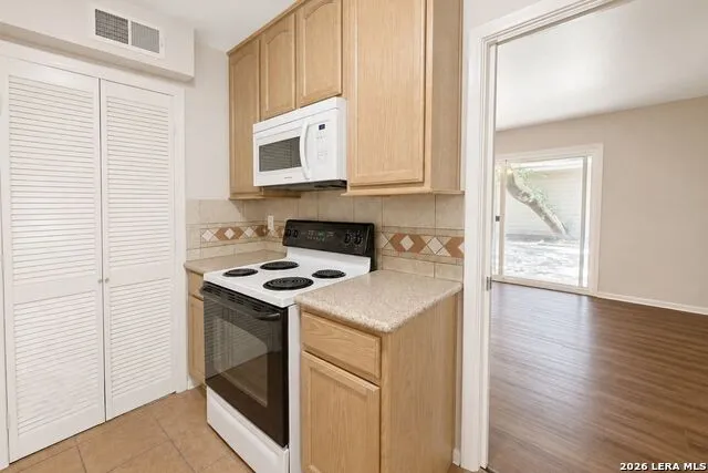 342 E TERRA ALTA DR San Antonio, TX 78209