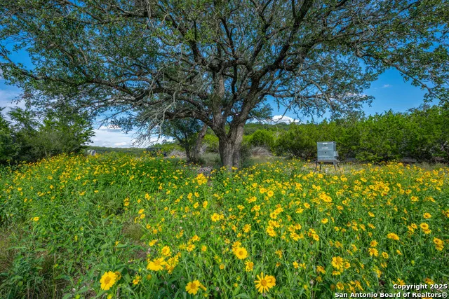 TBD FM 2169 Junction, TX 76849