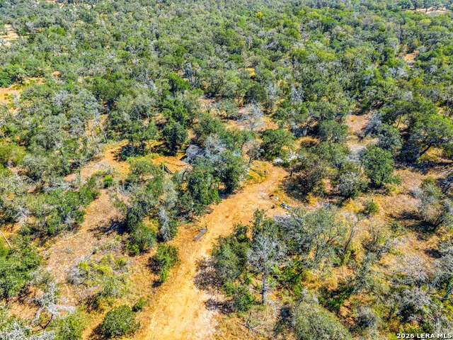 1581 County Road 321 La Vernia, TX 78121