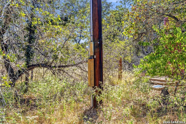 1581 County Road 321 La Vernia, TX 78121