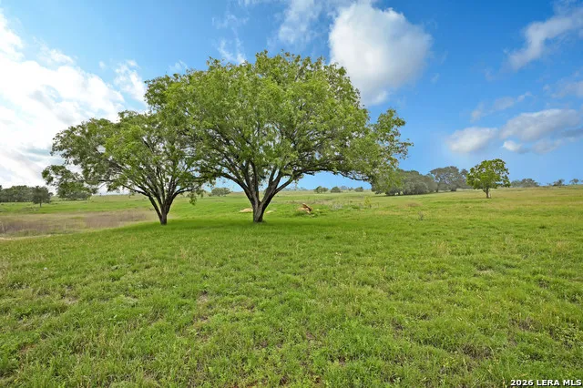 1335 GABLE RD St Hedwig, TX 78152
