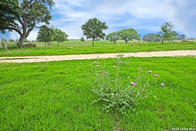 1335 GABLE RD St Hedwig, TX 78152