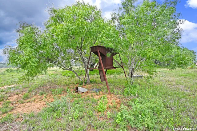 1335 GABLE RD St Hedwig, TX 78152