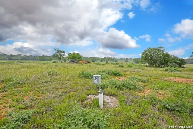 1335 GABLE RD St Hedwig, TX 78152