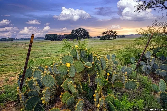 1335 GABLE RD St Hedwig, TX 78152