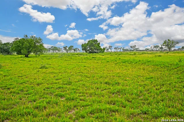 1335 GABLE RD St Hedwig, TX 78152