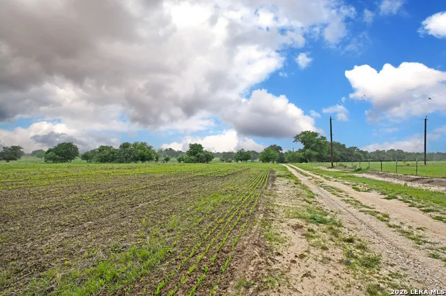 1335 GABLE RD St Hedwig, TX 78152