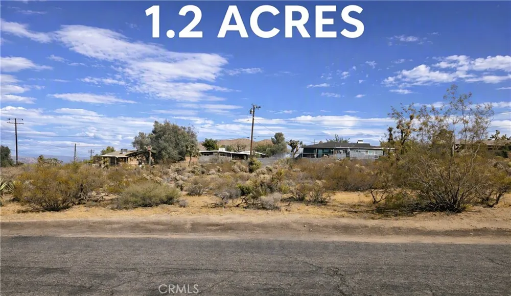 Conejo Joshua Tree, CA 92252