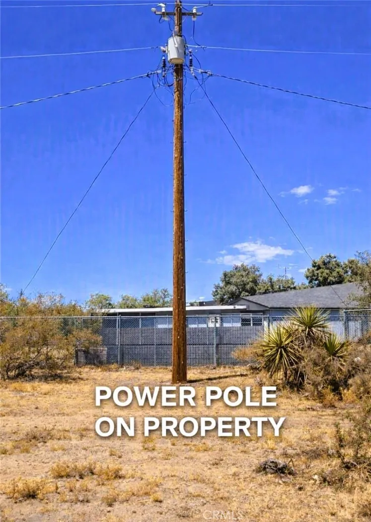 Conejo Joshua Tree, CA 92252