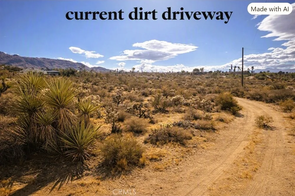 Conejo Joshua Tree, CA 92252