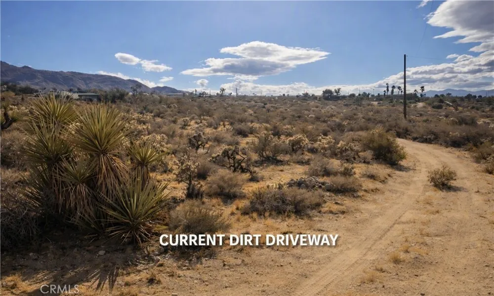 Conejo Joshua Tree, CA 92252