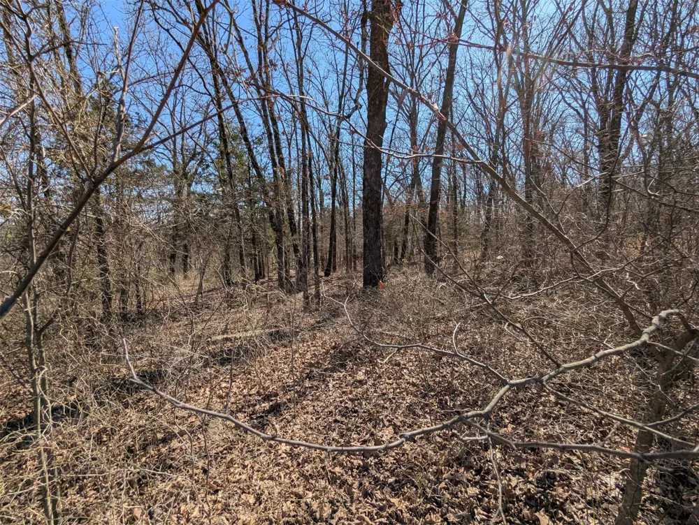 Woodward Circle Gore, OK 74435