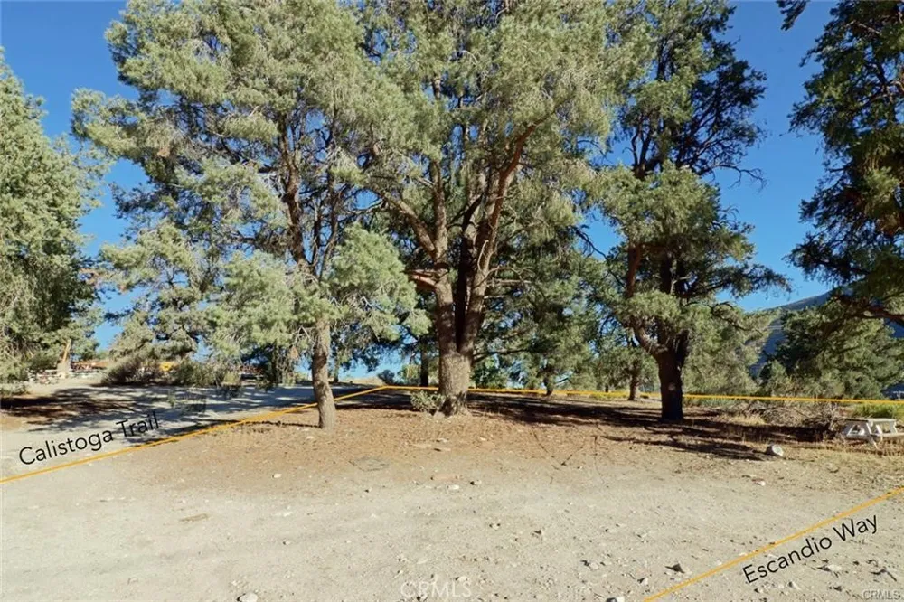 Calistoga Frazier Park, CA 93225