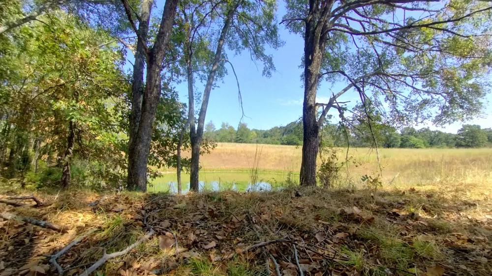 467353 W Hwy 62 Westville, OK 74965