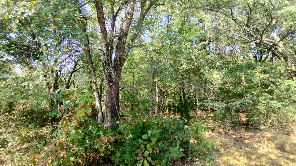 467353 W Hwy 62 Westville, OK 74965