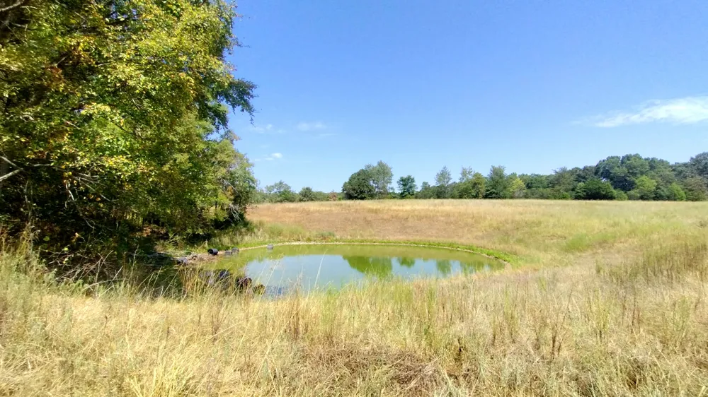 467353 W Hwy 62 Westville, OK 74965