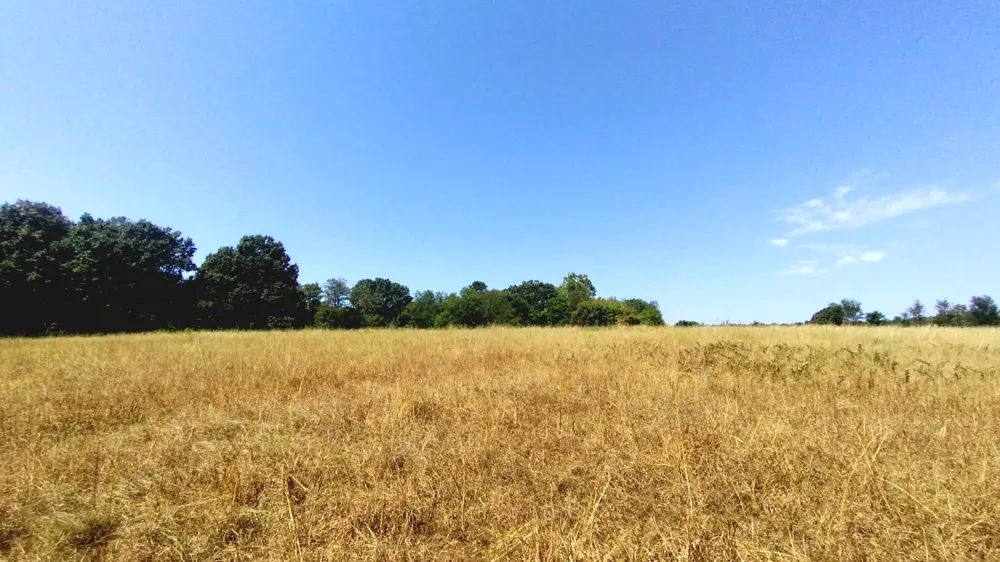 467353 W Hwy 62 Westville, OK 74965