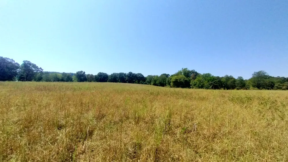 467353 W Hwy 62 Westville, OK 74965