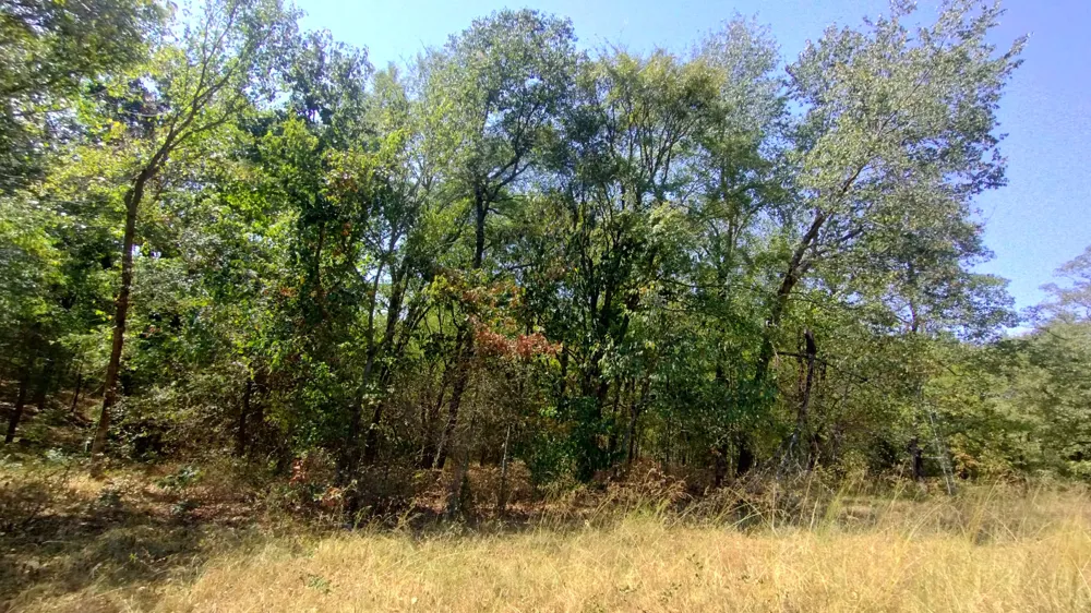 467353 W Hwy 62 Westville, OK 74965