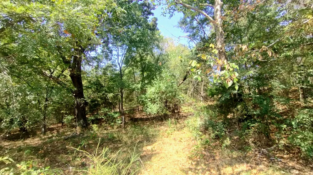 467353 W Hwy 62 Westville, OK 74965