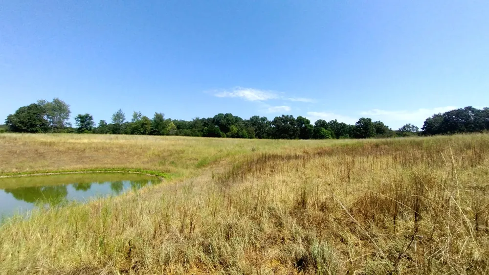 467353 W Hwy 62 Westville, OK 74965