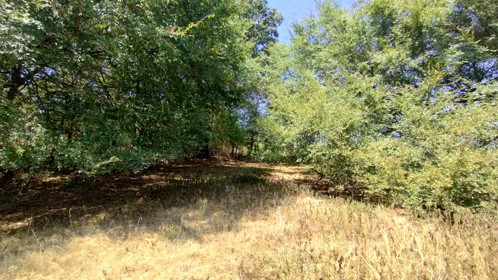 467353 W Hwy 62 Westville, OK 74965