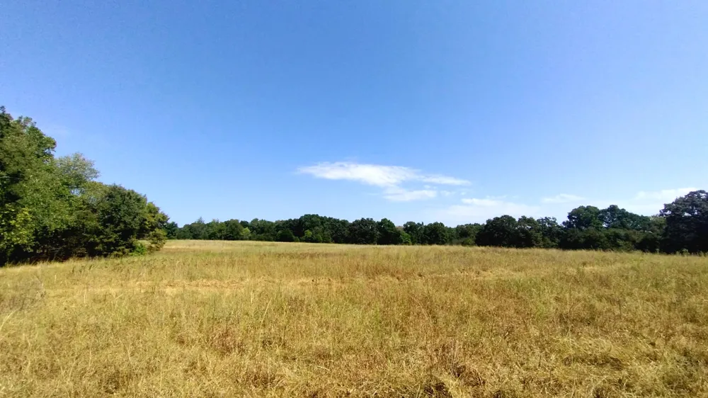 467353 W Hwy 62 Westville, OK 74965