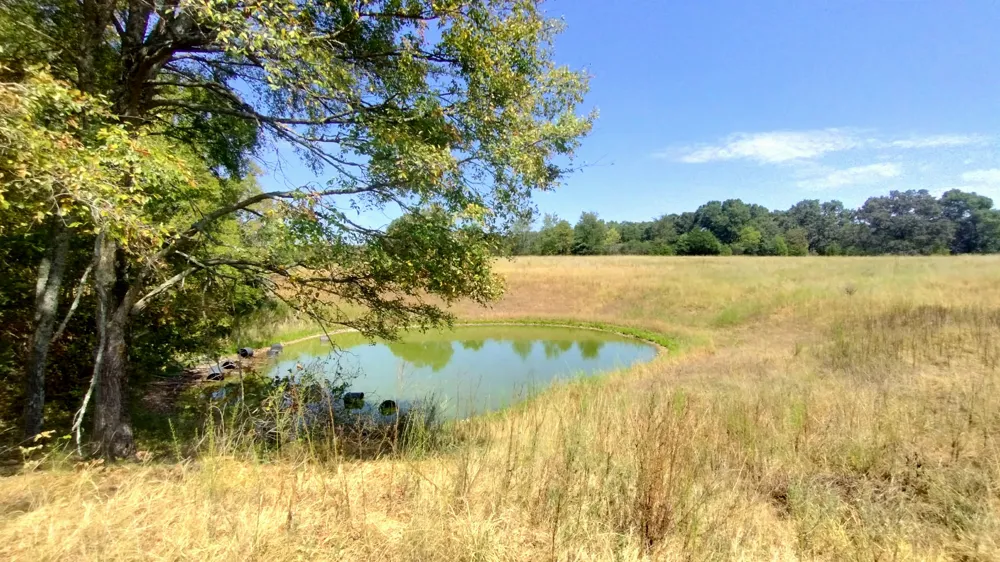 467353 W Hwy 62 Westville, OK 74965