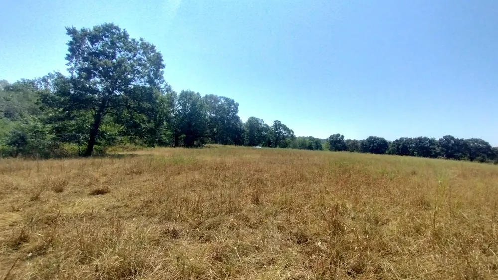 467353 W Hwy 62 Westville, OK 74965