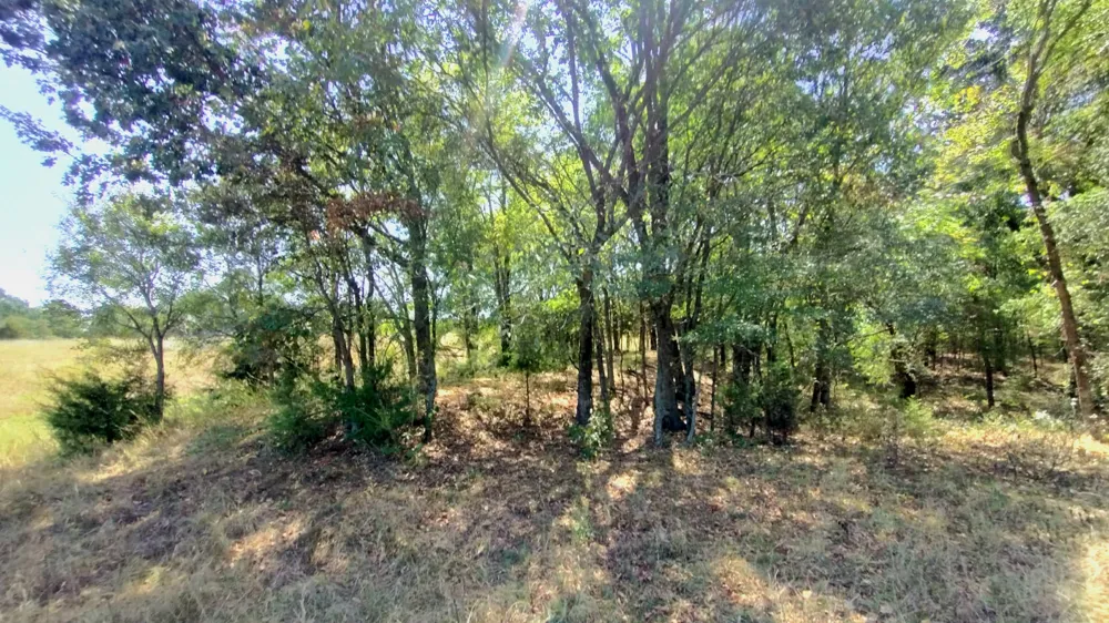 467353 W Hwy 62 Westville, OK 74965