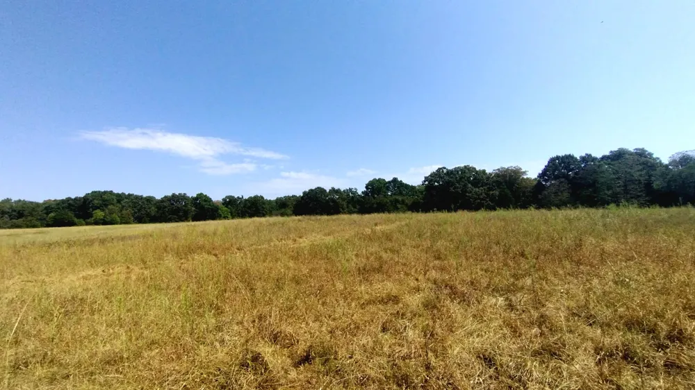 467353 W Hwy 62 Westville, OK 74965