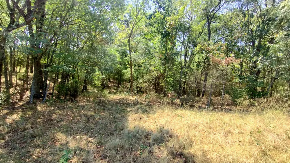 467353 W Hwy 62 Westville, OK 74965