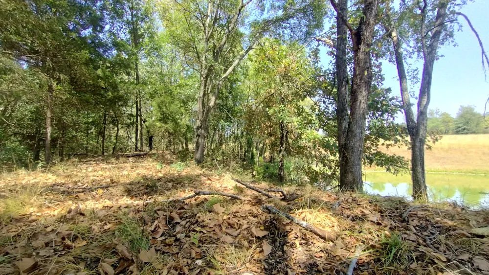 467353 W Hwy 62 Westville, OK 74965